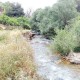 روستای کلم؛ جایی برای نفس‌کشیدن در طبیعت