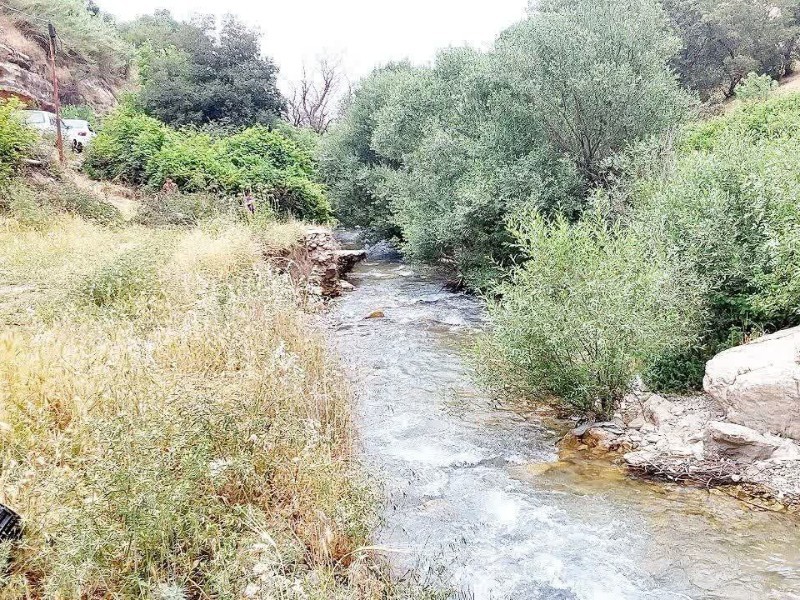 روستای کلم؛ جایی برای نفس‌کشیدن در طبیعت