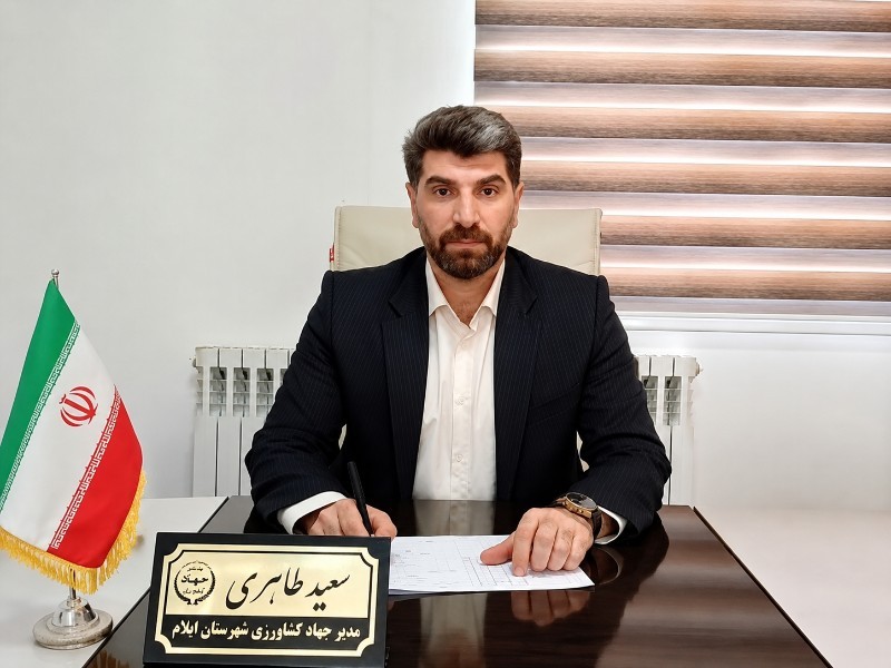 برخورد با متخلفان حوزه نان در ایلام ادامه دارد