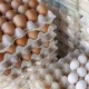 ترانزیت ۲۳۵ تن تخم‌مرغ نطفه‌دار از مرز مهران