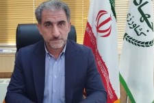 خرید تضمینی ۲۳۰ هزار تن گندم در ایلام