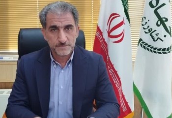 خرید تضمینی ۲۳۰ هزار تن گندم در ایلام
