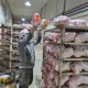 ضبط ۳۶ کیلوگرم فرآورده دامی غیربهداشتی در چوار