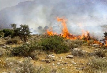 آتش‌سوزی مراتع و جنگل‌های انارگ چوار مهار شد