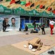 راه‌اندازی سایت ۱۰۰ چادری اسکان زائران در ایلام