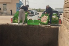 ۳/۵ تن مواد غذایی غیربهداشتی در مهران معدوم شد