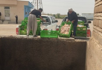 ۳/۵ تن مواد غذایی غیربهداشتی در مهران معدوم شد