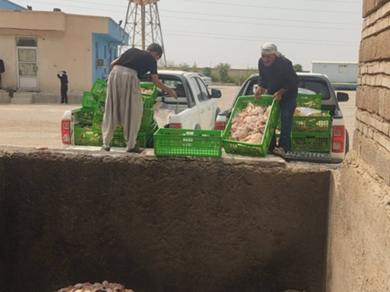 ۳.۵ تن مواد غذایی غیربهداشتی در مهران معدوم شد