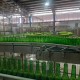 کوشاب غرب؛ از اشتغال هزارنفری تا بازار جهانی