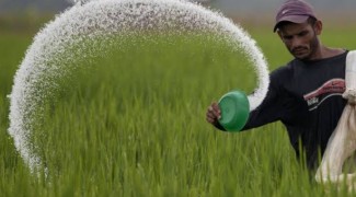 یارانه کود مستقیم به حساب کشاورزان ایلامی واریز می‌شود