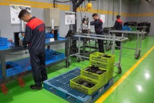 اشتغال ۳۰ درصدی محکومان ایلام در کارگاه‌های مهارت‌آموزی