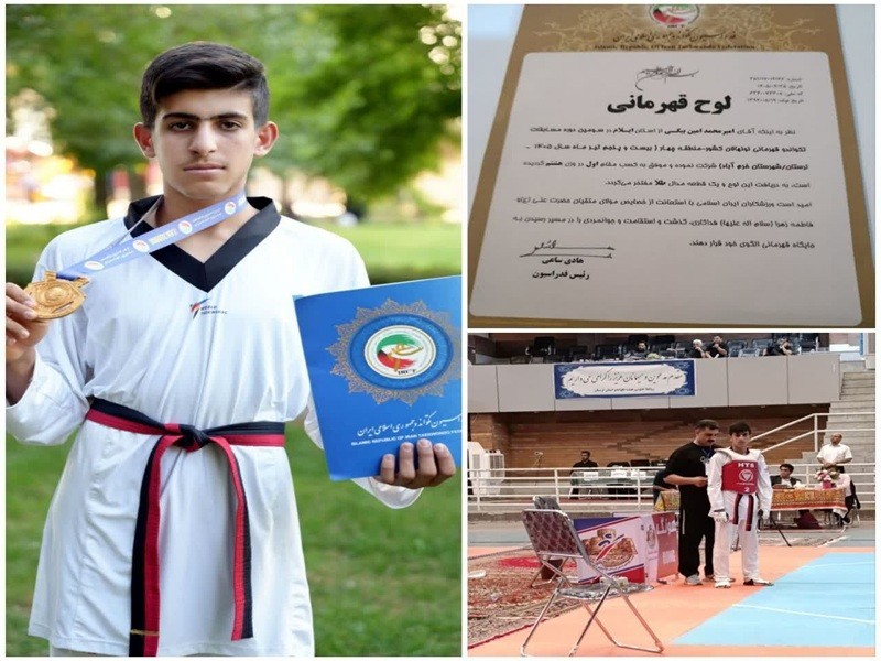 طلای تکواندو قهرمانی کشور بر گردن دانش‌آموز کارزانی