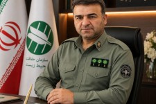 ۴ کبک وحشی به آغوش طبیعت ایلام بازگشتند