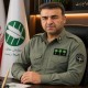۴ کبک وحشی به آغوش طبیعت ایلام بازگشتند