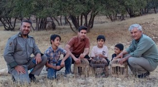 کلیپی از رهاسازی ۴ قطعه کبک در ایلام