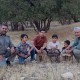 کلیپی از رهاسازی ۴ قطعه کبک در ایلام