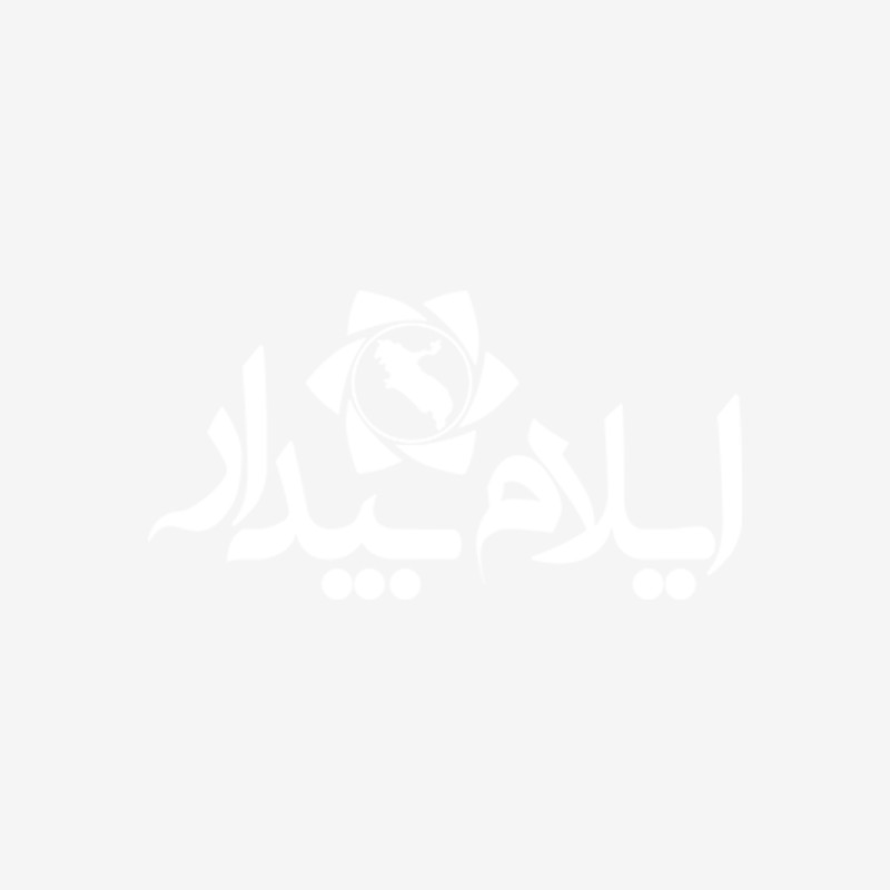 باند توزیع اسکناس جعلی در ایلام دستگیر شدند