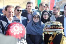 سخنگوی دولت وارد شهرستان ملکشاهی شد
