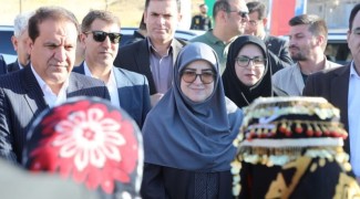 سخنگوی دولت وارد شهرستان ملکشاهی شد