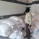 ۲ تخلف قاچاق آرد در ایوان شناسایی شد