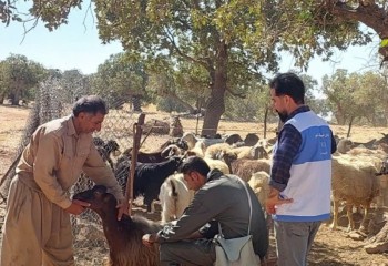 طرح ملی کنترل تب برفکی در ایوان دنبال می‌شود