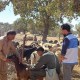 طرح ملی کنترل تب برفکی در ایوان دنبال می‌شود
