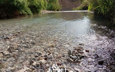 غار زینگان؛ خنکای طبیعت در دل گرمای ایلام