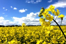 توده هوای گرم از ایلام خارج می‌شود