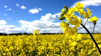 توده هوای گرم از ایلام خارج می‌شود