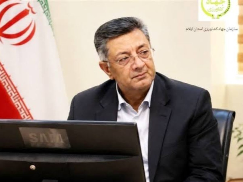 آغاز کشت پاییزه ایلام در ۲۴۰ هزار هکتار