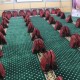توزیع بسته‌های تحصیلی میان دانش‌آموزان ایلامی