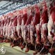 تولید گوشت در جنگ هم متوقف نشد