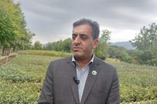 ایلام سالانه ۲ میلیون نهال بومی تولید می‌کند