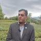 ایلام سالانه ۲ میلیون نهال بومی تولید می‌کند