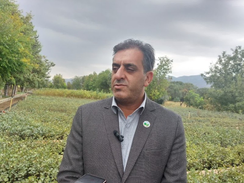 ایلام سالانه ۲ میلیون نهال بومی تولید می‌کند