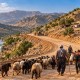 عشایر از استقرار در حریم رودخانه‌ها خودداری کنند
