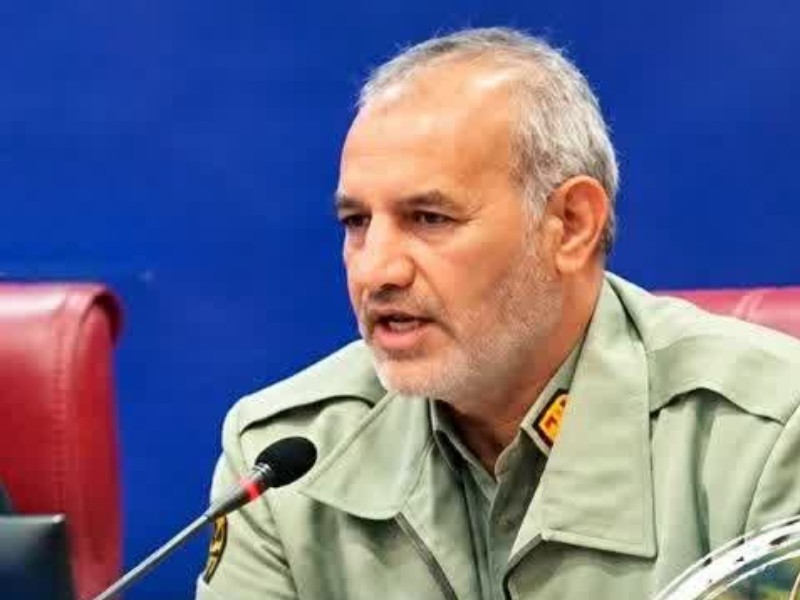 ۶۴۰ هزار هکتار جنگل بلوط ایلام نیازمند حفاظت است