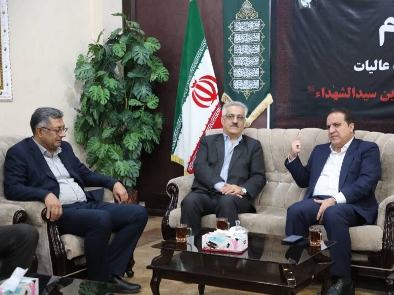 ایلام می‌تواند به قطب تولید گندم کشور تبدیل شود