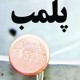 پلمب 2 داروخانه متخلف در ایلام با دستور قضایی