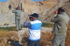 پرندگان مهاجر در ایلام پایش می‌شوند
