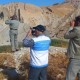 پرندگان مهاجر در ایلام پایش می‌شوند