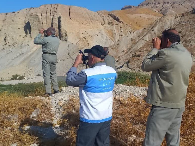 پرندگان مهاجر در ایلام پایش می‌شوند