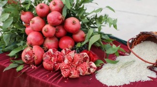 برگزاری جشن برداشت برنج و انار در سیروان