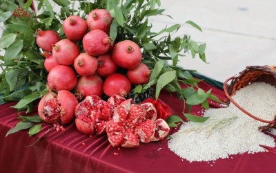 برگزاری جشن برداشت برنج و انار در سیروان