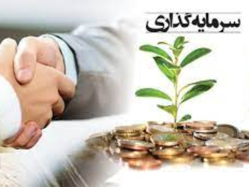 زیست‌بوم سرمایه‌گذاری در ایلام اجرا می‌شود