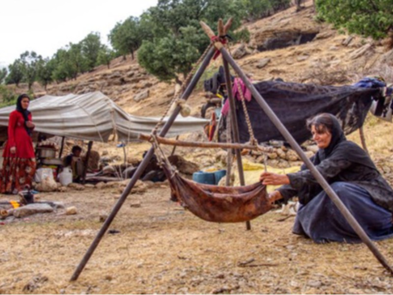 2 هزار خانواده عشایری مهمان مناطق مختلف ایلام هستند 2 هزار خانواده عشایری مهمان مناطق مختلف ایلام هستند