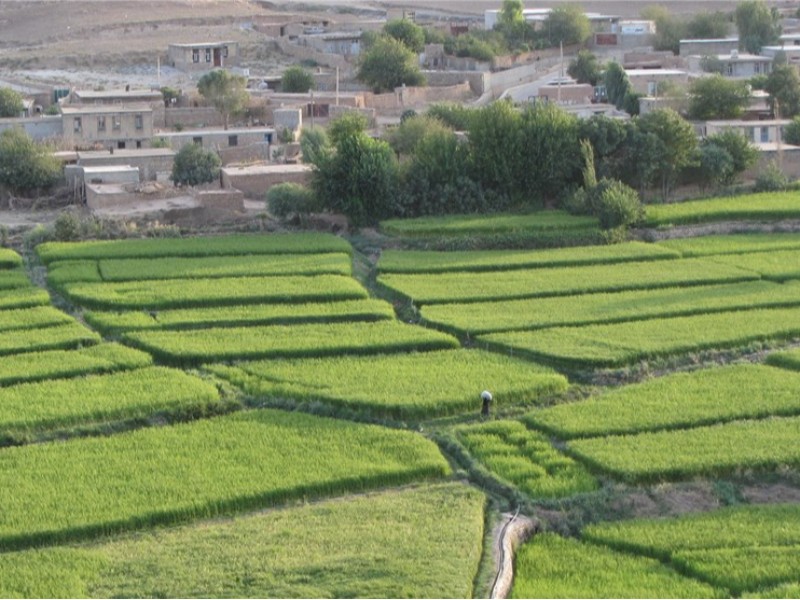 ۸۰۰ فقره پلاک ثبتی در ایلام تغییر کاربری یافت