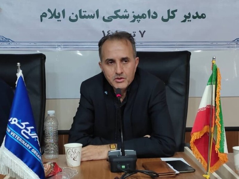 تحقق ۹۶ درصدی مایهکوبی احشام در ایلام تحقق ۹۶ درصدی مایهکوبی احشام در ایلام