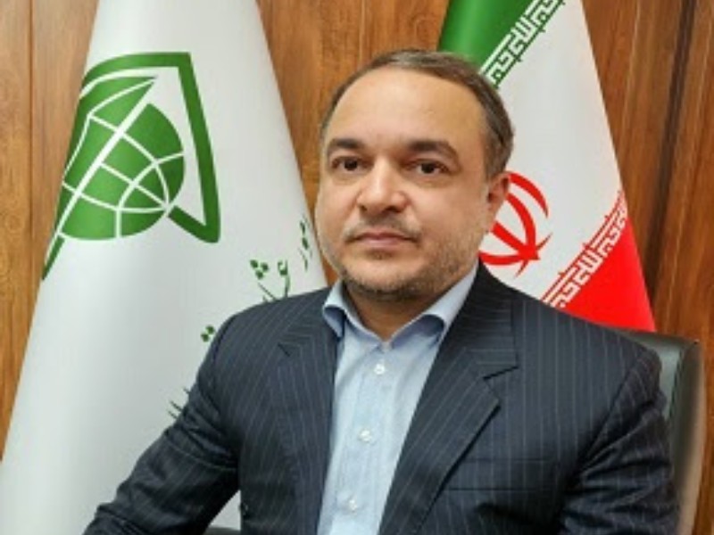 ۱۰ درصد پشم عشایر کشور در ایلام تولید میشود ۱۰ درصد پشم عشایر کشور در ایلام تولید میشود