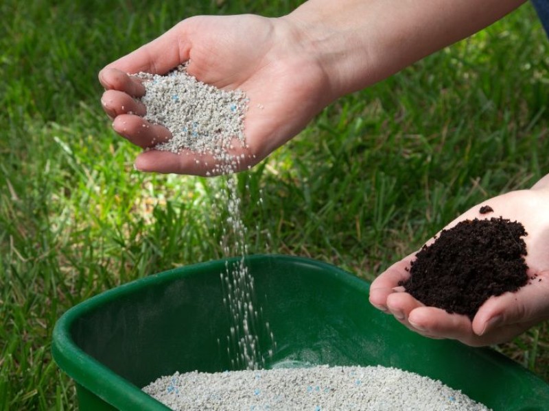 صدور ۸۷ هزار حواله الکترونیکی در ایلام